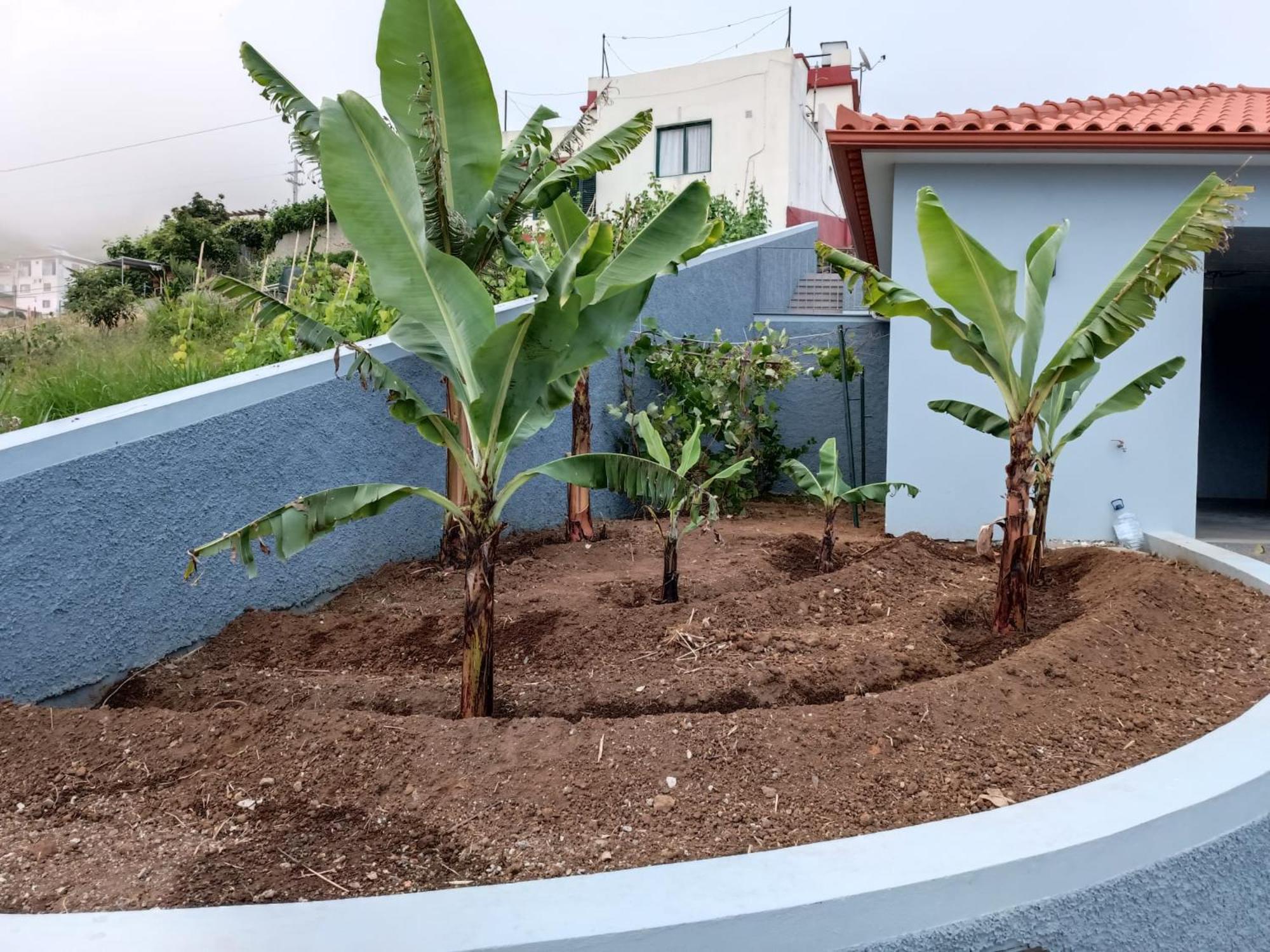 Calheta Paradise Holiday Home أركو دا كالهيتا المظهر الخارجي الصورة